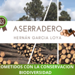 Aserradero Hernán Garcia Loya