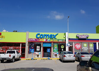 Tienda Comex