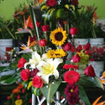 Tienda Comex