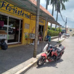 Floreria Julissa