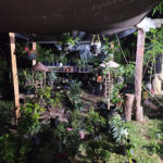 Vivero " Las flores de la abuela "