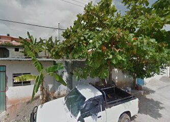 Materiales Bonapat