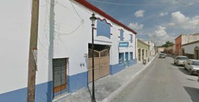 Pinturas Profesionales De Parras