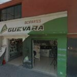 Bicipartes Guevara