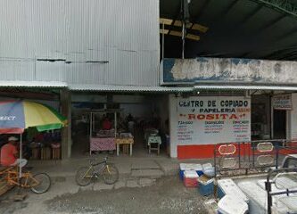 Pinturas y Lacas del Suchiate S.A. de C.V. Sucursal Villa Comaltitlán