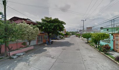 Surtidora Industrial de Chiapas